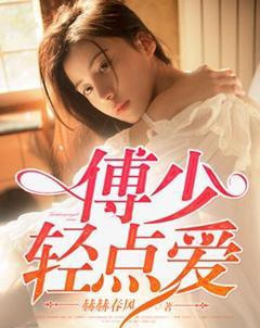 傅少轻点免费阅读完整版